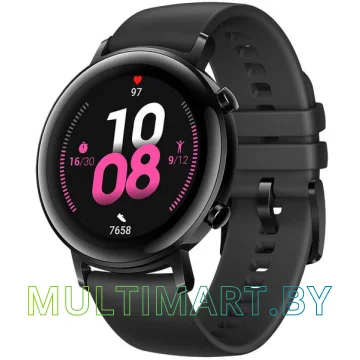 Смарт-часы Huawei Watch GT2 Sport Edition DAN-B19 42 мм (черный)